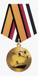 Медаль «Участнику военной операции в Сирии»